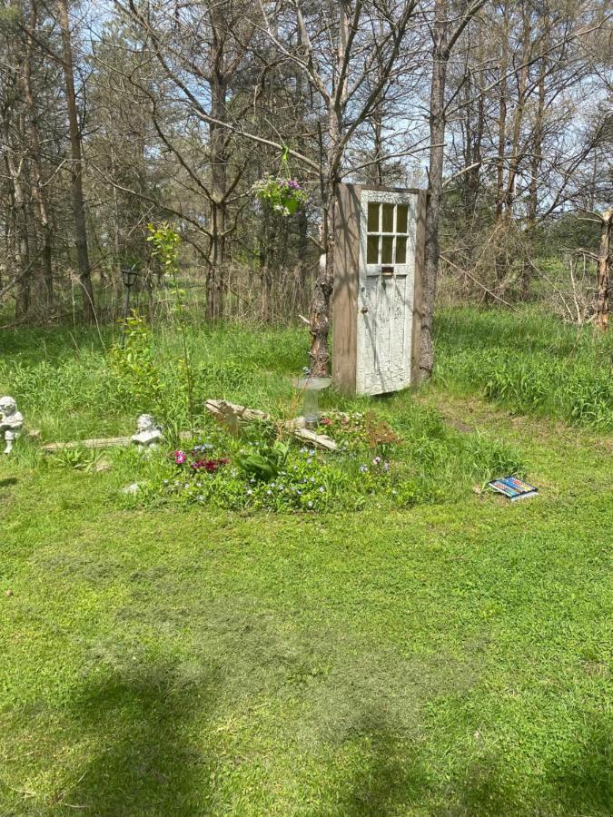 Dreamers Writing Farm, 3 Wooded Acres, Hepworth 소블 비치 외부 사진
